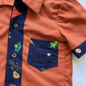 Conjunto Festa no Céu